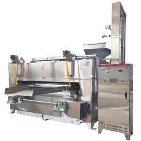 Coated Cashew Swing Roaster