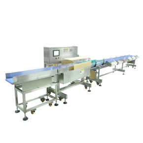 Weight Sorting Machine for Chicken