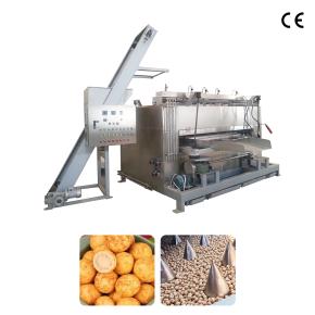 Coated nut Swing Roaster