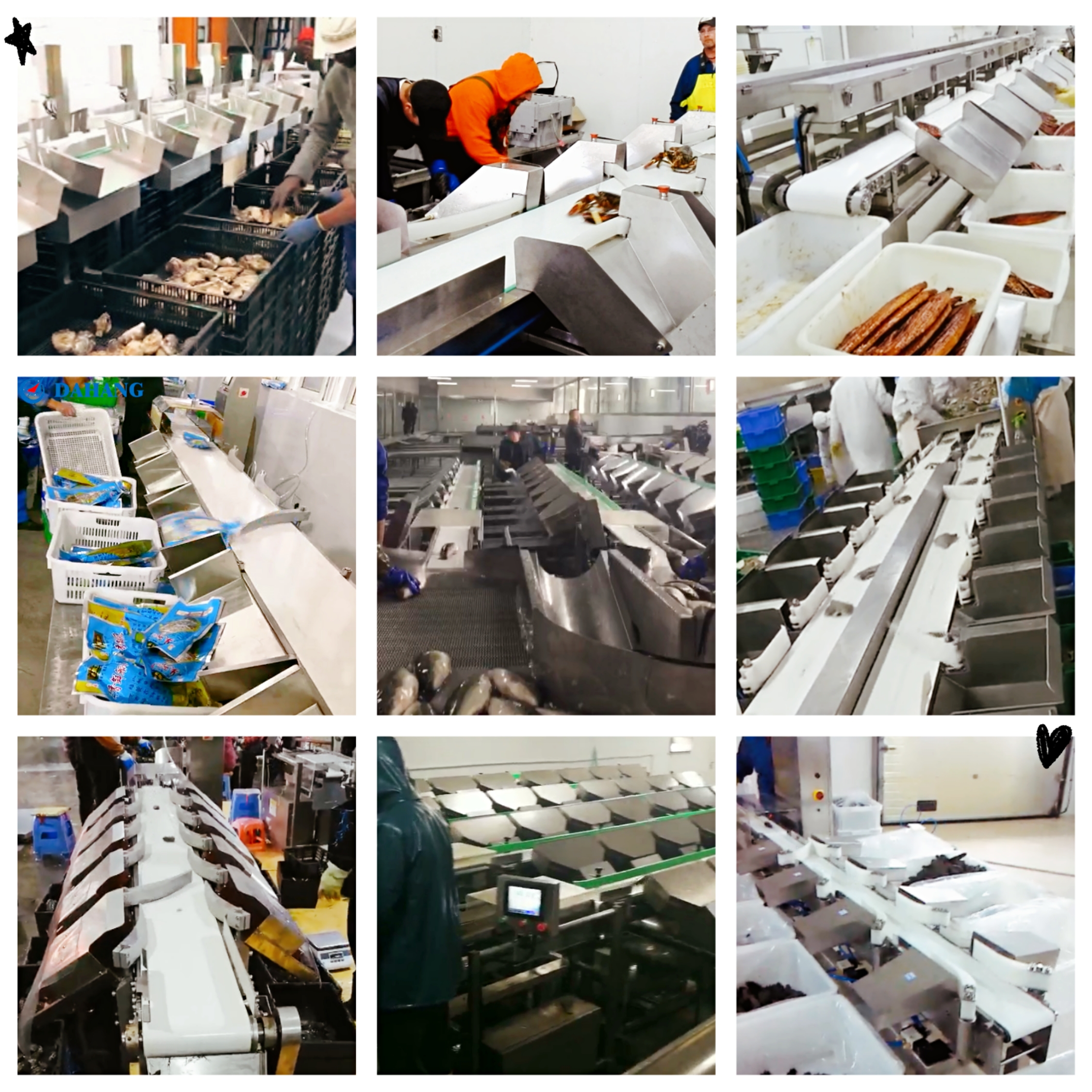 fishery and seafood weight sorting application.jpg
