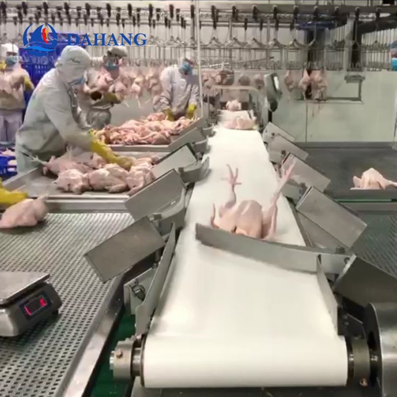 chicken sorting machine 2.jpg
